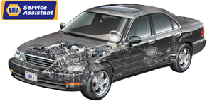 Napa Service assistant